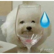 抖音回忆上了发条是什么意思