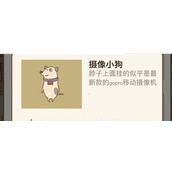 动物餐厅摄像小狗来访条件一览