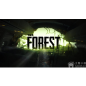 森林之子背包里的东西怎么扔背包里的东西清理方法