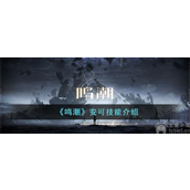 鸣潮安可怎么样安可角色技能强度介绍