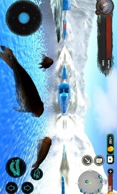海豹大象