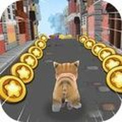 猫咪跑酷飞行冒险免费正版