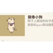 《动物餐厅》摄像小狗的来信具体获取方式