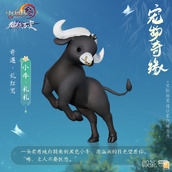 剑网3乱红鸾奇遇攻略一览