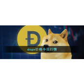 doge价格今日行情