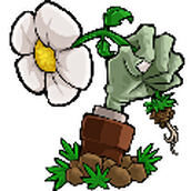 植物大战僵尸1免费正版