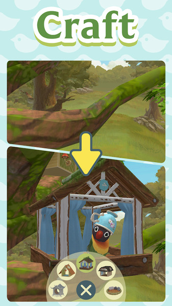Bird bnb最新版
