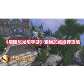 《黑暗与光明手游》宠物加点推荐攻略