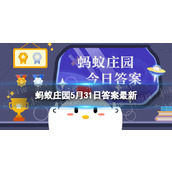 吸收营养物质的主要器官蚂蚁庄园小肠是人体吸收营养物质的器官吗