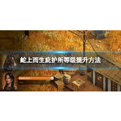 《纷玩岛》和大麦区别介绍