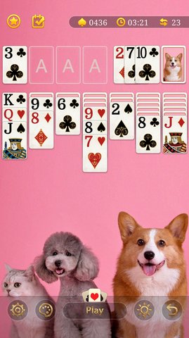 每日接龙下载最新版