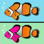 看图找不同下载最新版