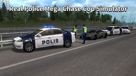 警车追逐小偷游戏下载