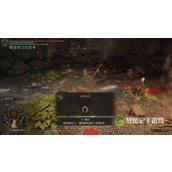 艾尔登法环1.04帕奇支线任务如何完成