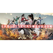 《天龙八部2飞龙战天》寒玉谷玩法攻略