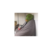绿头鱼是什么梗详情