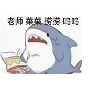 老师菜菜捞捞是什么梗详情
