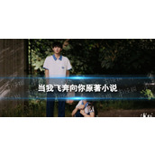 当我飞奔向你原著小说叫什么当我飞奔向你原著小说介绍
