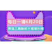 每日一猜6月20日熊猫三胞胎的大姐姐叫啥