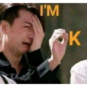 比亚迪是什么梗详情