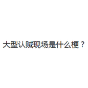 大型认贼现场是什么梗