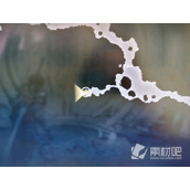 《最终幻想16》漆黑森林左边的遗迹怎么进入