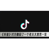 抖音对方撤回了一个老太太意思一览