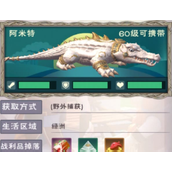 创造与魔法阿米特饲料是什么