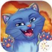 拆家整蛊猫下载安装