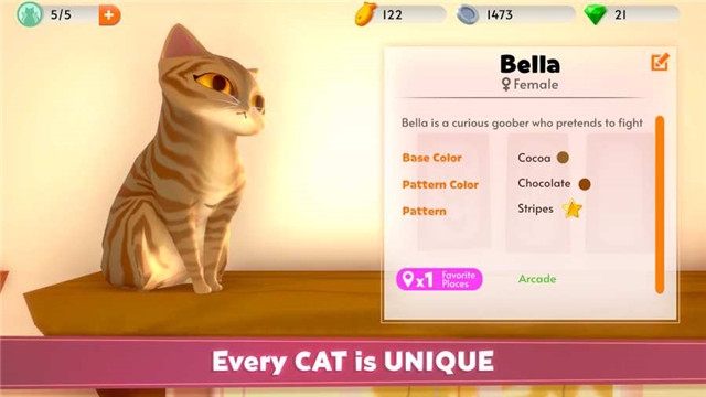 我的猫咪俱乐部最新版
