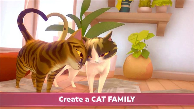 我的猫咪俱乐部最新版