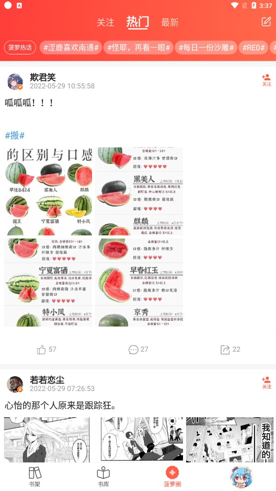 菠萝包轻小说