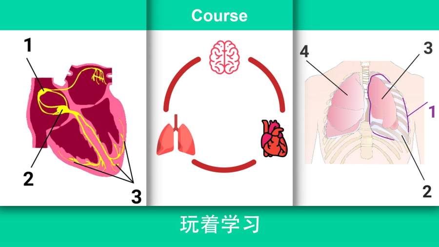 现实医疗模拟器汉化