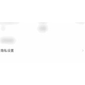皮皮陪玩隐藏所在地怎么弄