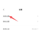 皮皮陪玩怎么打开消息提醒