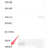 皮皮陪玩清理缓存怎么弄