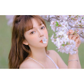 天堂在/线中文在线免费版：一款每天都会为用户们提供超多视频的播放软件