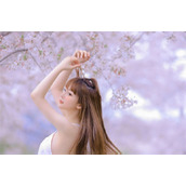 最近高清中文在线国语字幕永久免费版：一款看视频完全不需要付费的手机播放软件