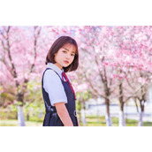 野花影视大全在线观看免费安卓版：一款完全可以满足用户需求的播放软件