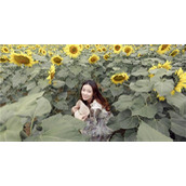 啦啦啦手机在线观看视频8高清版：一款收录了非常多热门视频大片的手机软件