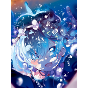 柚子漫画登录页面入口