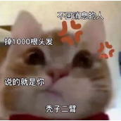 歪嘴小猫是什么梗