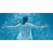 知乎上有哪些好看的文