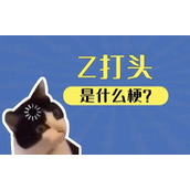 Z打头的姓是什么梗