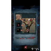《纸嫁衣5无间梦境》蝴蝶摆放方法分享