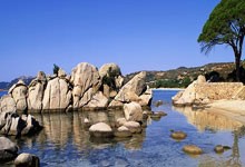 mysql存入中文字符串