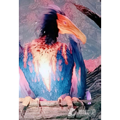 《遗迹2》大鸟离开方法