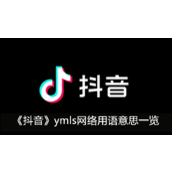 ymls什么意思