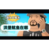 潜水员戴夫洪堡鱿鱼在哪