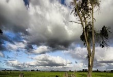 mysql字段字符串转数字类型